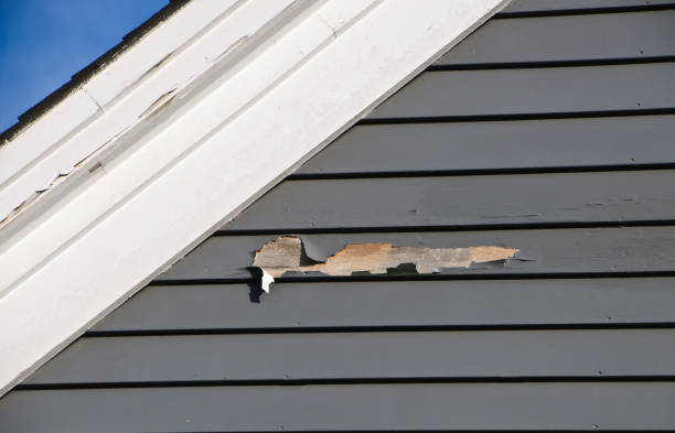 Shed Removal in Cypress Lake, FL